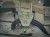 Cobra_Softer-use-2.jpg